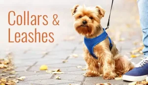 Pet Collars & Leashes